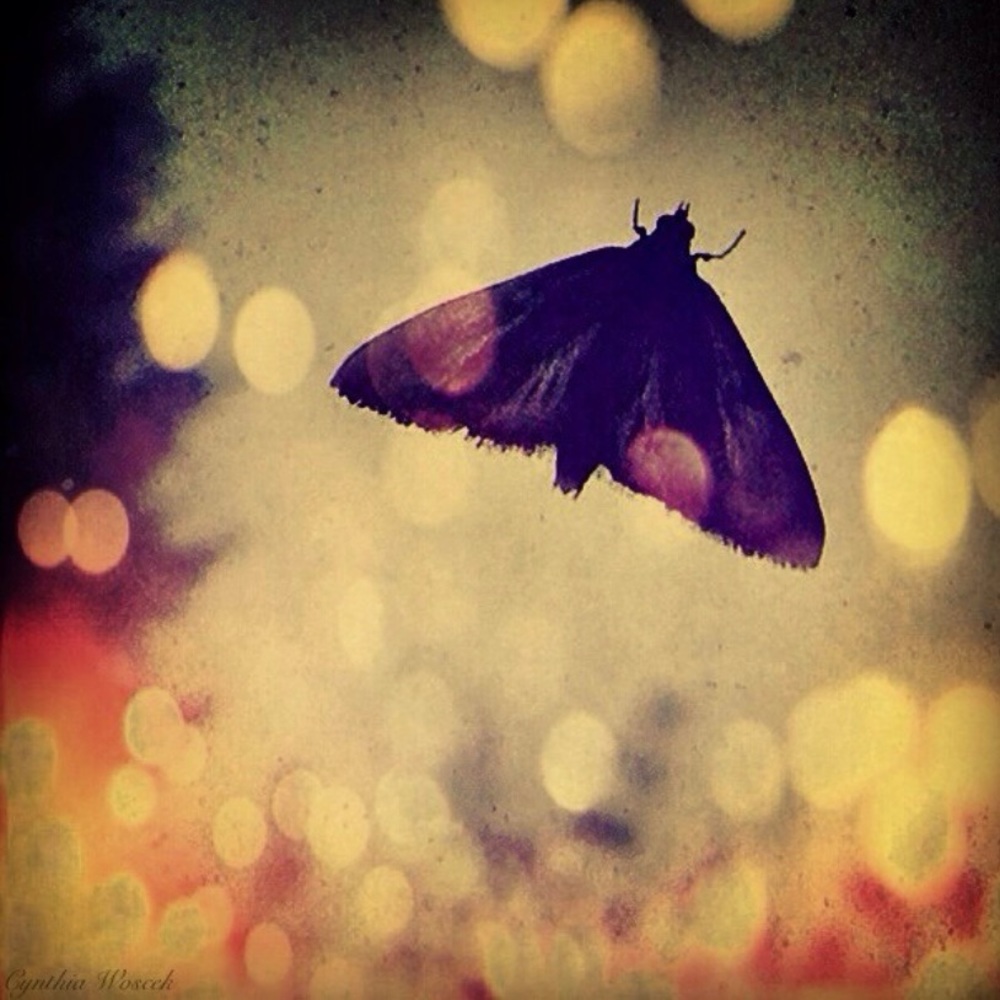 “Exposure Therapy”. Original photography/art on canvas.